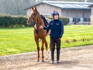 BP200326-6 - It's Hard To Know